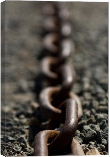 Chains Canvas Print by Andrew Holland