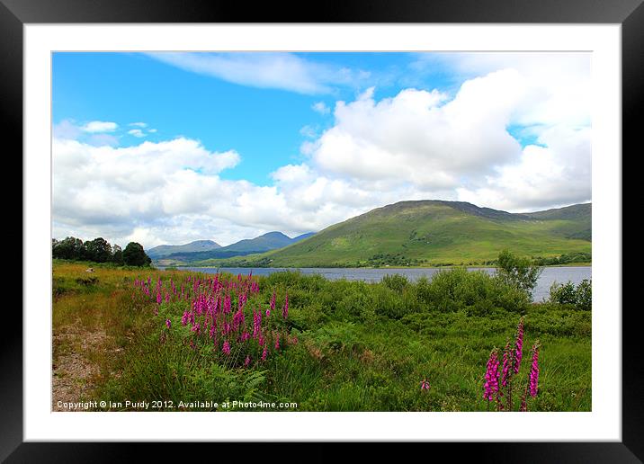 Summer at Loch Eil Framed Mounted Print by Ian Purdy