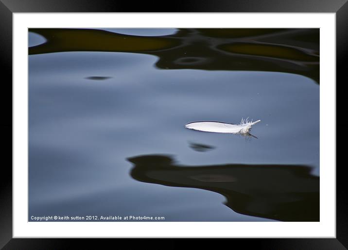 floating feather Framed Mounted Print by keith sutton