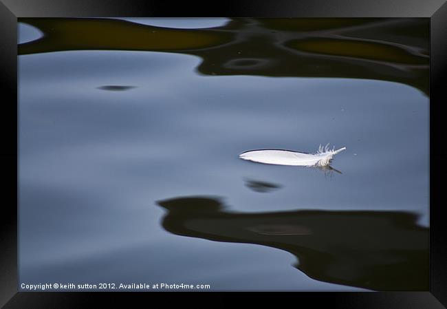 floating feather Framed Print by keith sutton