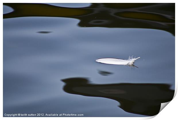 floating feather Print by keith sutton