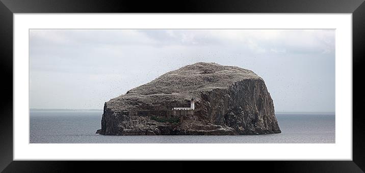 The Bass Rock Framed Mounted Print by Grant Glendinning