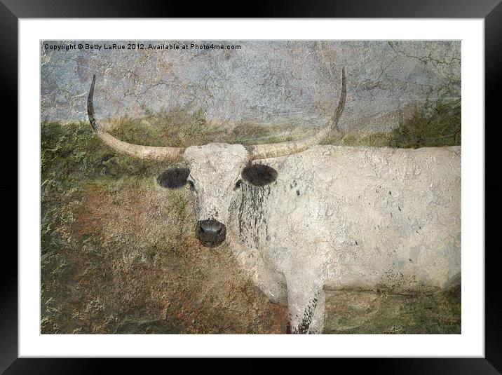 Texas Longhorn #3 Framed Mounted Print by Betty LaRue