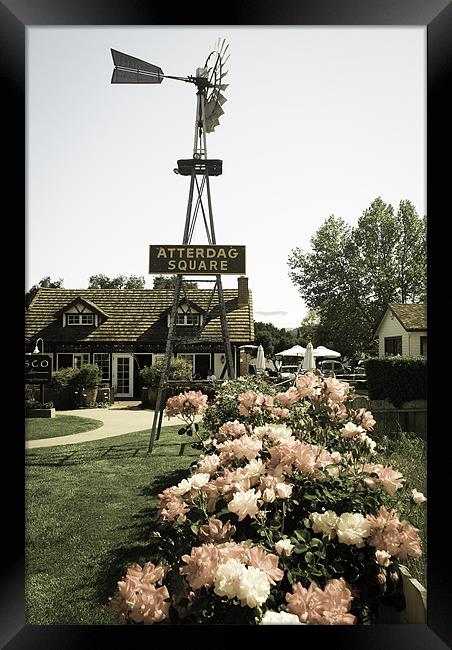 Windmill and a rose garden Framed Print by Panas Wiwatpanachat