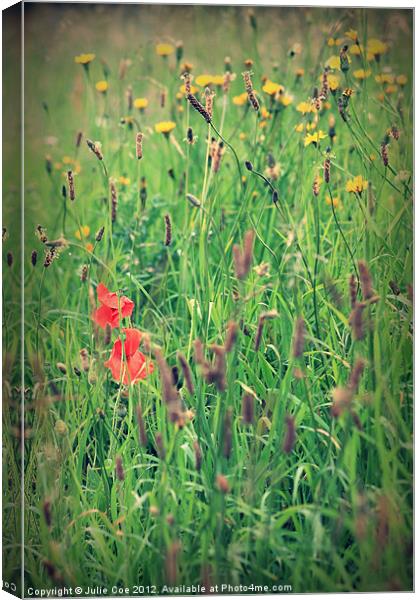 Poppies and Grass Canvas Print by Julie Coe