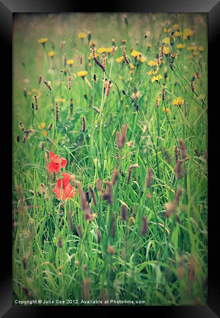 Poppies and Grass Framed Print by Julie Coe