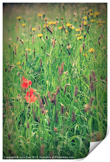 Poppies and Grass Print by Julie Coe