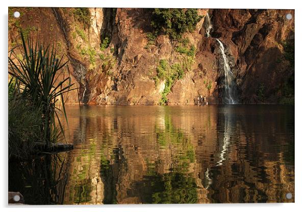 Wangi Falls, Australia Acrylic by peter schickert