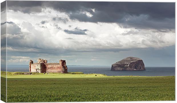 Tantallon Castle and the Bass rock Canvas Print by Grant Glendinning