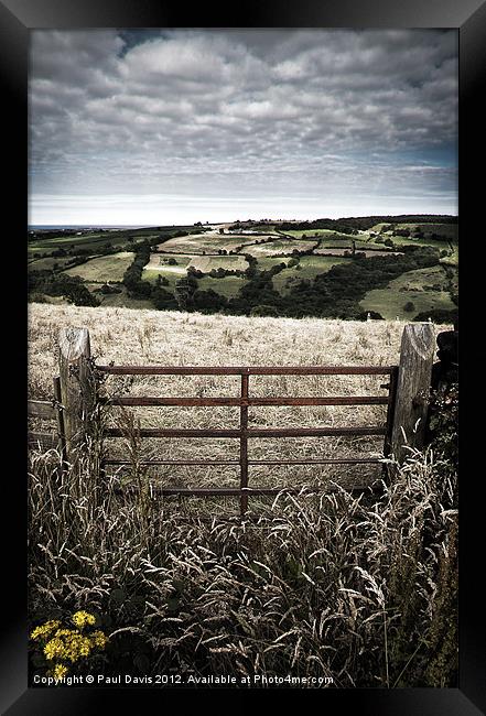 North Yorkshire Moors Framed Print by Paul Davis