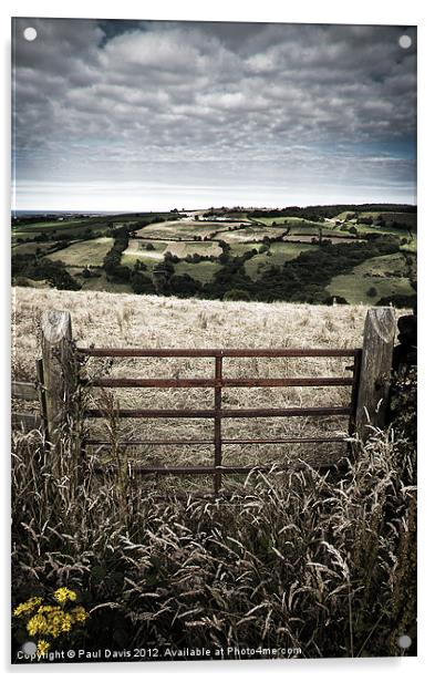 North Yorkshire Moors Acrylic by Paul Davis