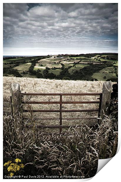 North Yorkshire Moors Print by Paul Davis