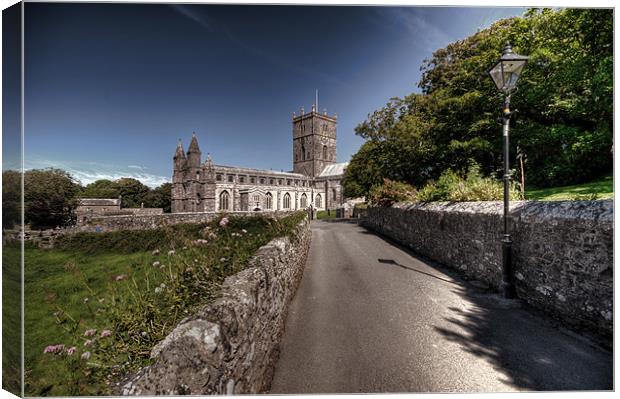 St Davids Cathedral Pembrokeshire 2 Canvas Print by Steve Purnell