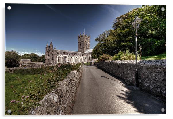St Davids Cathedral Pembrokeshire 2 Acrylic by Steve Purnell
