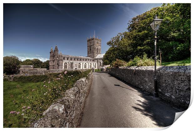 St Davids Cathedral Pembrokeshire 2 Print by Steve Purnell