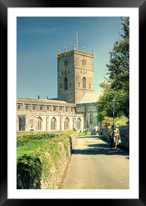 St Davids Cathedral Pembrokeshire Lomo Framed Mounted Print by Steve Purnell