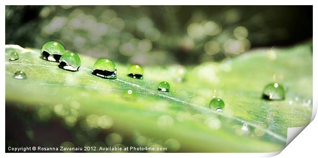 Waterdrops & Bokeh. Print by Rosanna Zavanaiu