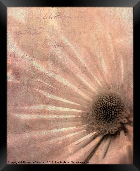 Floral Textures. Framed Print by Rosanna Zavanaiu