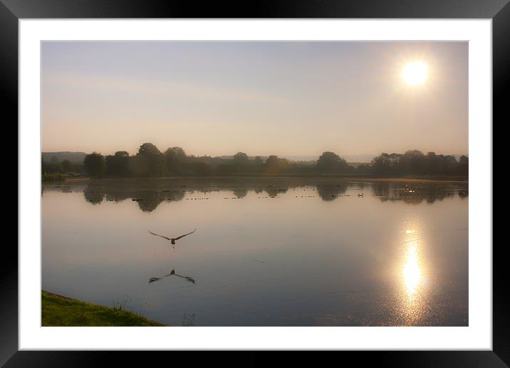 Canvas Sunrise Flight of the Heron Framed Mounted Print by Jack Jacovou Travellingjour