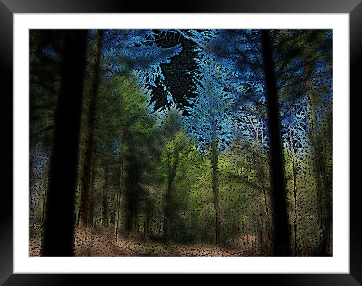 Forest Framed Mounted Print by Anthony Palmer-Greene