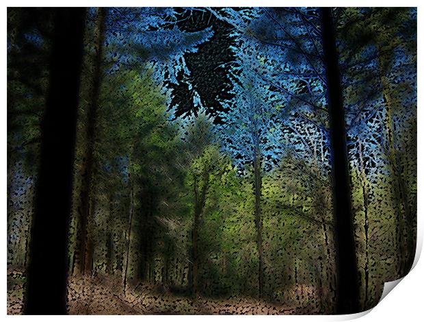 Forest Print by Anthony Palmer-Greene
