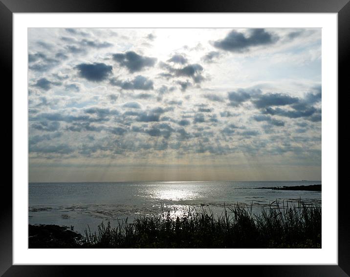 Sun And Sea Framed Mounted Print by Noreen Linale