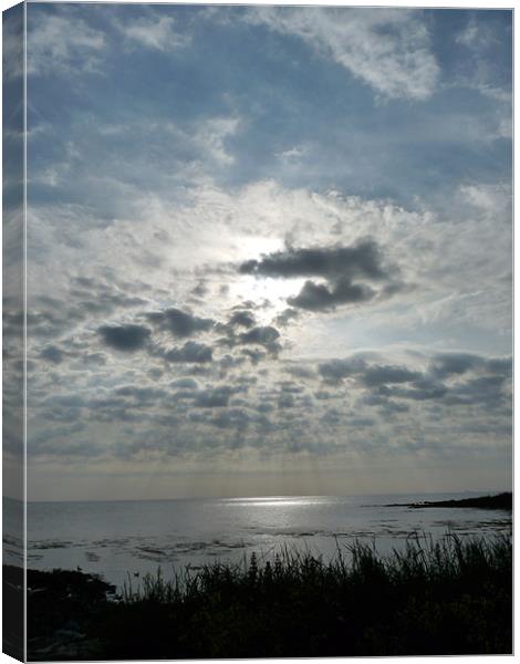 Sun Ray Seascape Canvas Print by Noreen Linale