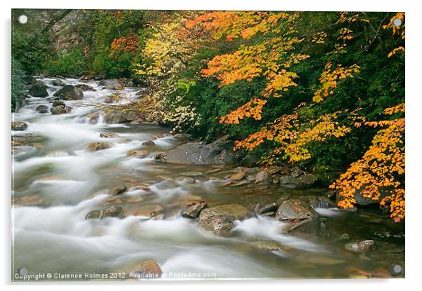 Autumn River Cascades I Acrylic by Clarence Holmes