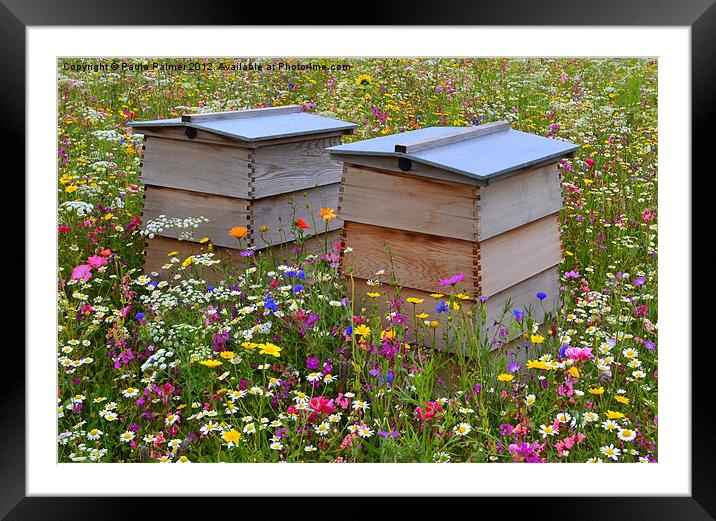 Wild Flower Meadow-Bee Hives Framed Mounted Print by Paula Palmer canvas