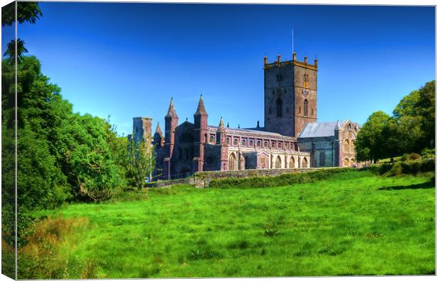 St Davids Cathedral Pembrokeshire 3 Canvas Print by Steve Purnell