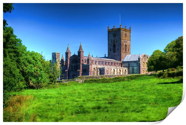 St Davids Cathedral Pembrokeshire 3 Print by Steve Purnell