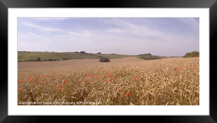 Wheat Fields Berkshire Downs Framed Mounted Print by Jim Hellier