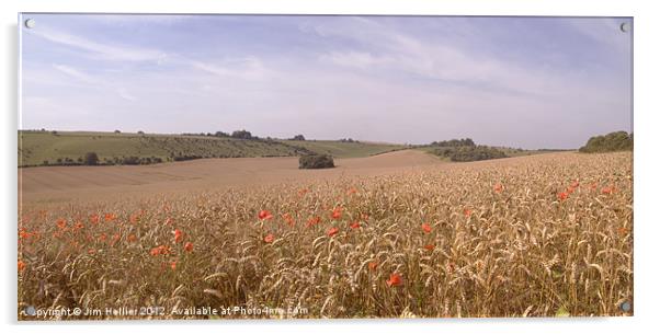 Wheat Fields Berkshire Downs Acrylic by Jim Hellier