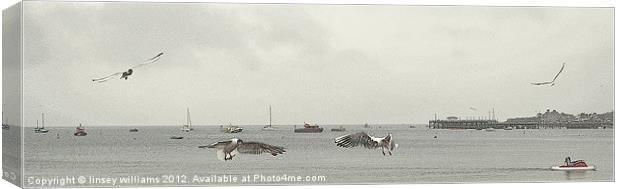 Swanage gulls Canvas Print by Linsey Williams