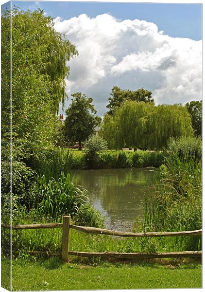 The Pond on Ham Common Canvas Print by graham young
