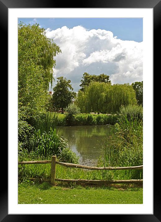 The Pond on Ham Common Framed Mounted Print by graham young