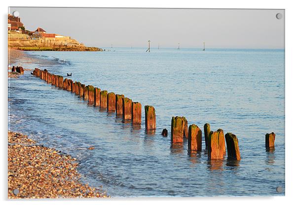 Selsey Shore Acrylic by Darrin Collett