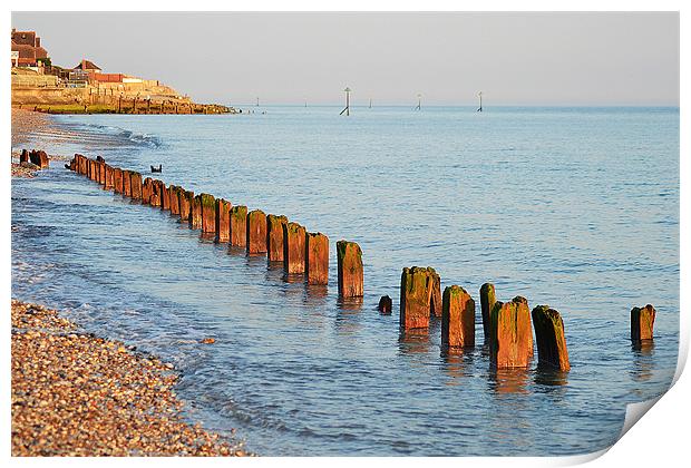 Selsey Shore Print by Darrin Collett