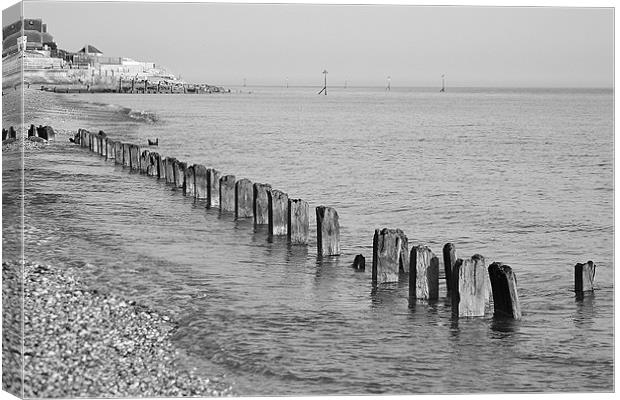 Selsey in Mono Canvas Print by Darrin Collett