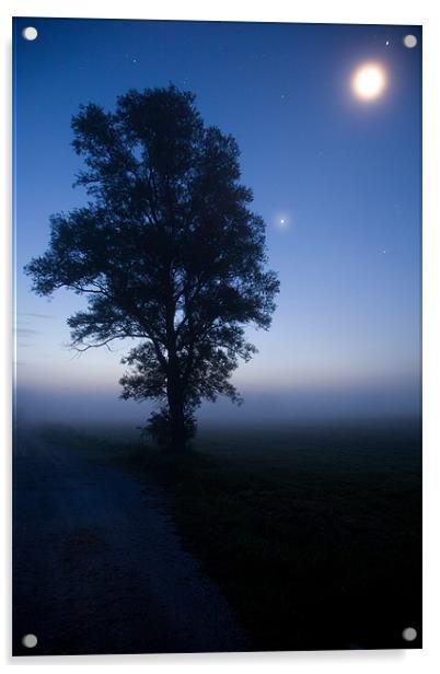 Moonlit dawn Acrylic by Ian Middleton