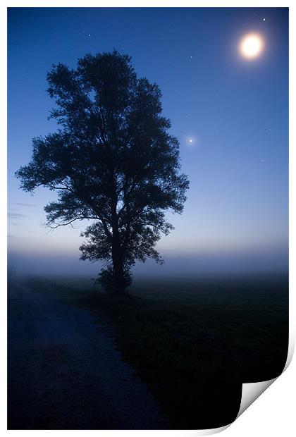 Moonlit dawn Print by Ian Middleton