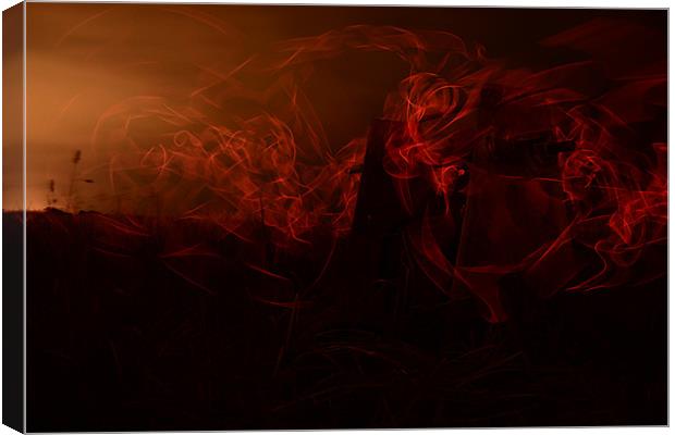 Red Mist Canvas Print by Lesley Brewster