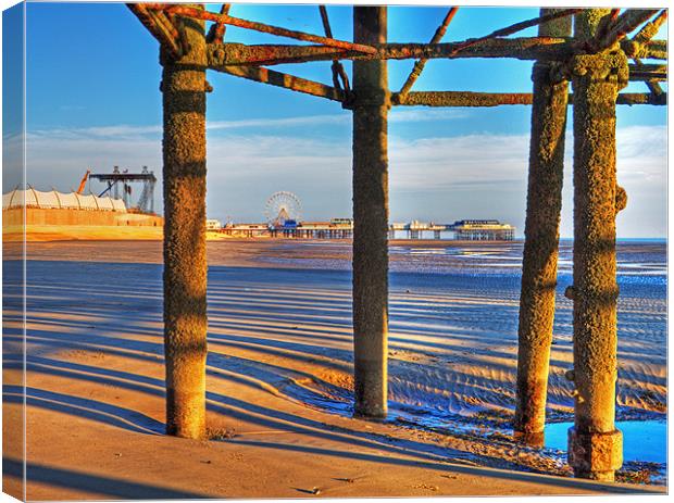 Beach Structures Canvas Print by David McCulloch