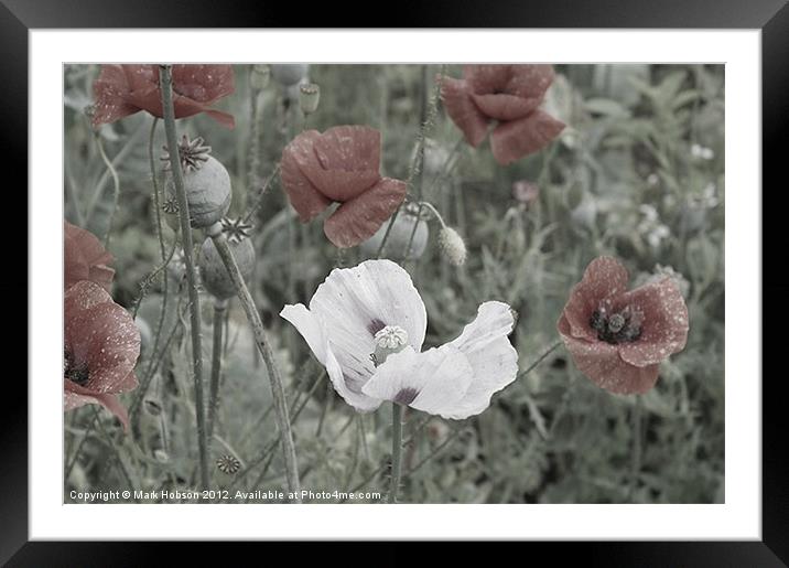 Shades of colour Framed Mounted Print by Mark Hobson