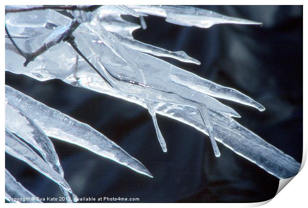 Swords of Ice Print by Eva Kato
