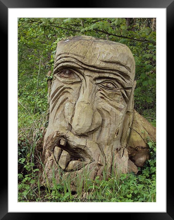 Woodland Troll Framed Mounted Print by Mark Hobson