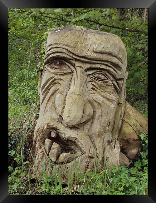 Woodland Troll Framed Print by Mark Hobson