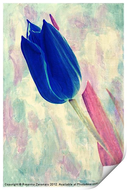 pink & Blue.. Print by Rosanna Zavanaiu