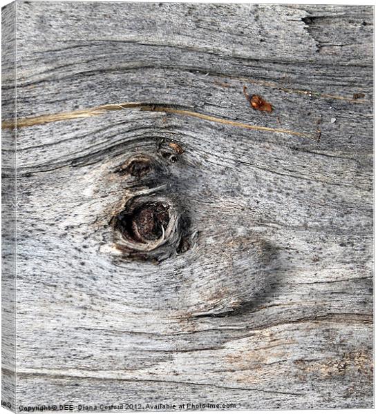 Eye of tree bark, Lilleshall Canvas Print by DEE- Diana Cosford