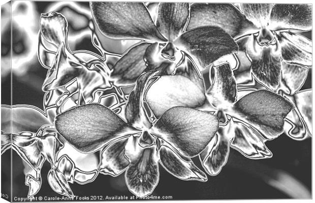 Metalised Orchid Flowers Canvas Print by Carole-Anne Fooks